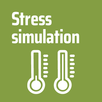 Stress Simulation